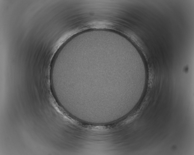 X0000116480986201001061116