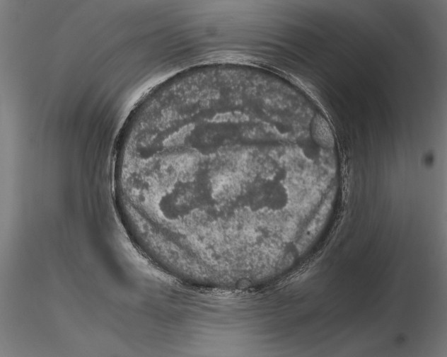 X0000116480987201001061116