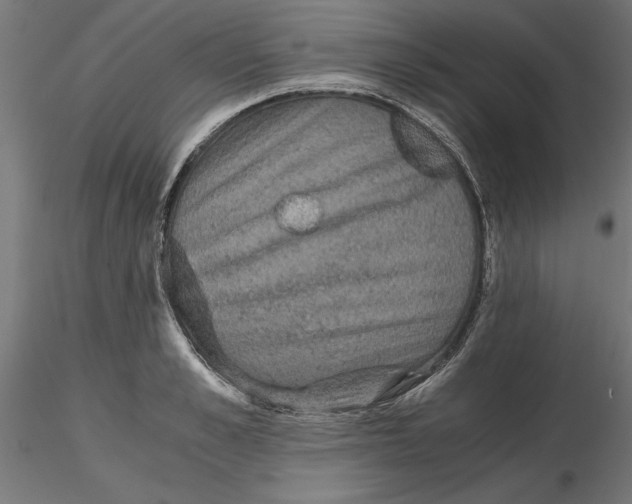 X0000116480989201001061116