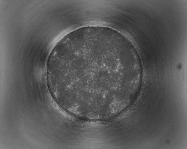 X0000116480990201001061116