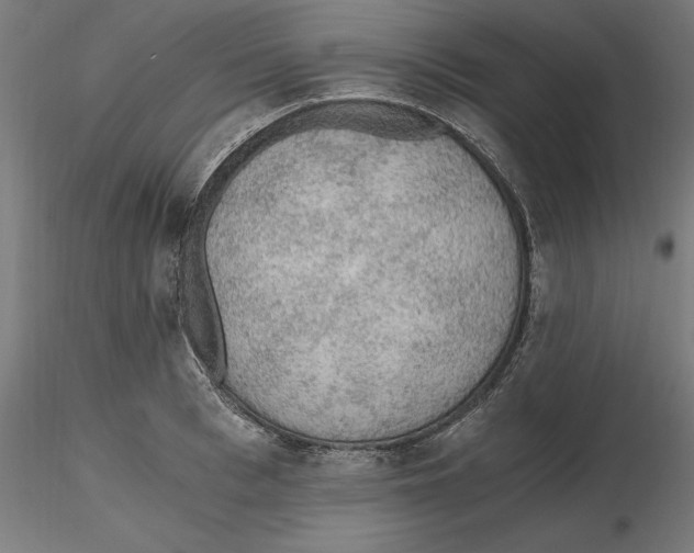 X0000116480993201001061116