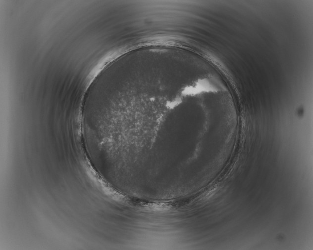 X0000116480994201001061116