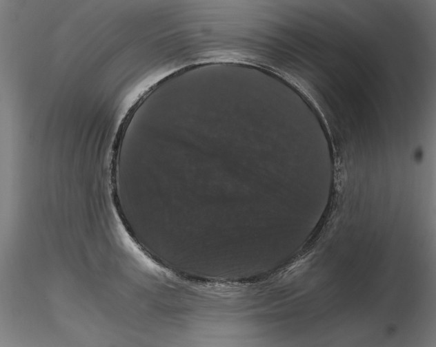 X0000116480995201001061116