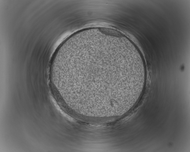 X0000116480997201001061116