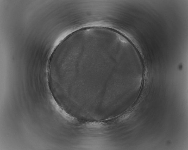 X0000116480998201001061116