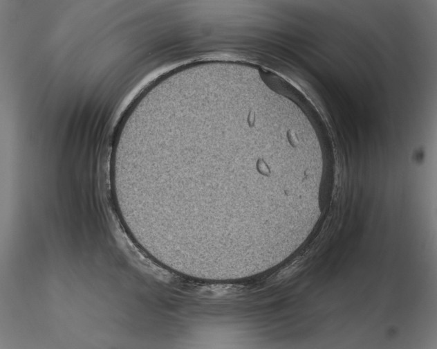 X0000116481000201001061116