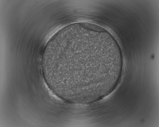 X0000116481001201001061116