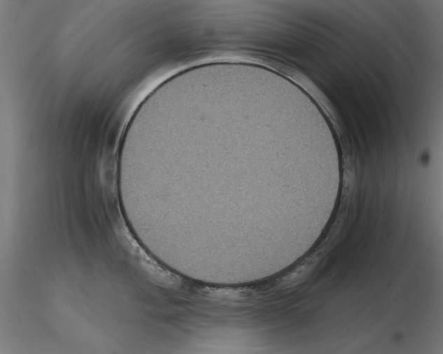 X0000116481004201001061116