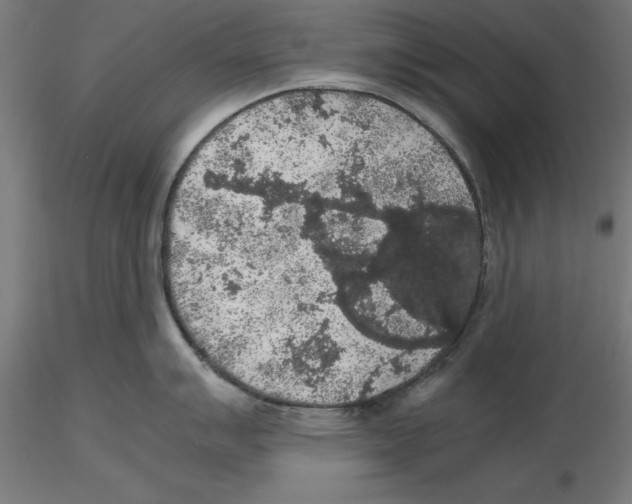 X0000116481007201001061116