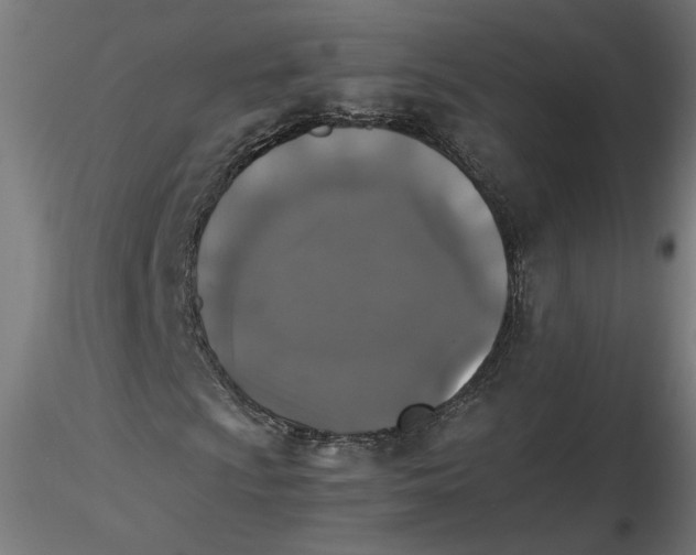 X0000116481009201001061115