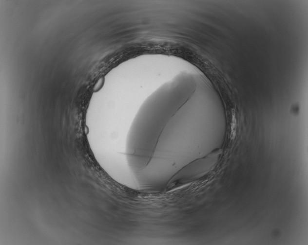 X0000116481013201001061115