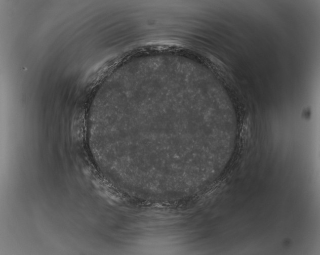 X0000116481014201001061115