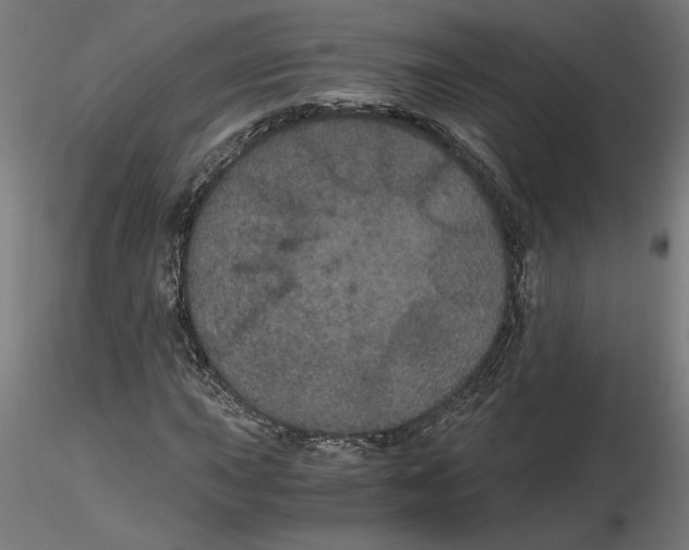 X0000116481015201001061115