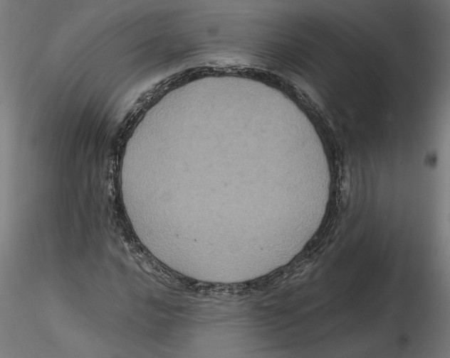 X0000116481016201001061115