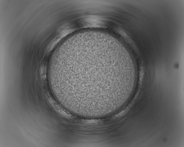 X0000116481017201001061115