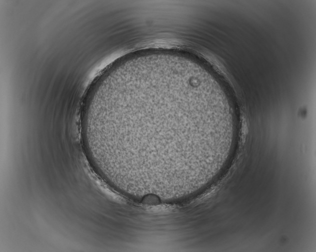 X0000116481018201001061115