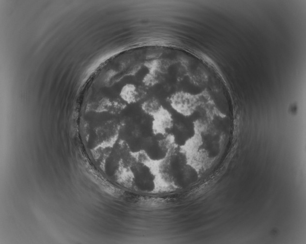 X0000116481019201001061115