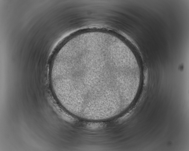 X0000116481021201001061115