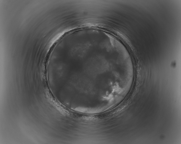 X0000116481023201001061115