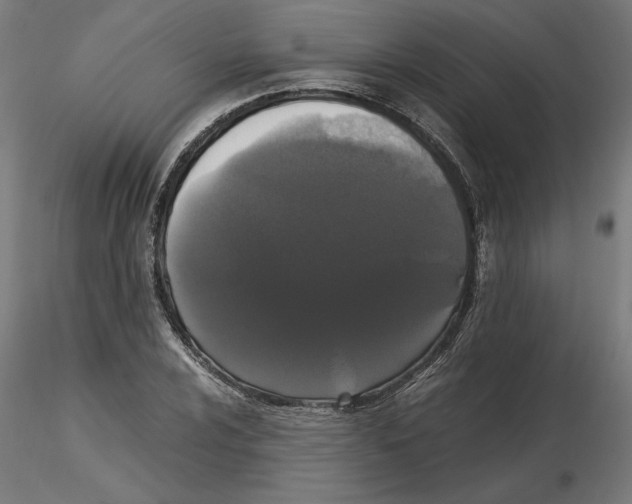 X0000116481024201001061115