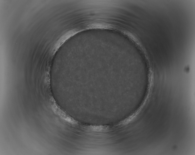 X0000116481025201001061116