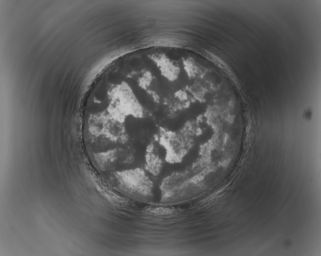 X0000116481027201001061116