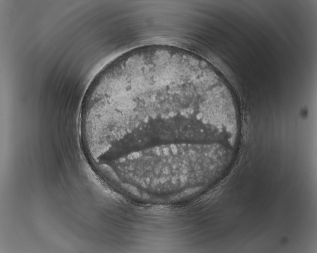 X0000116481028201001061116