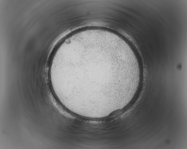 X0000116481029201001061116