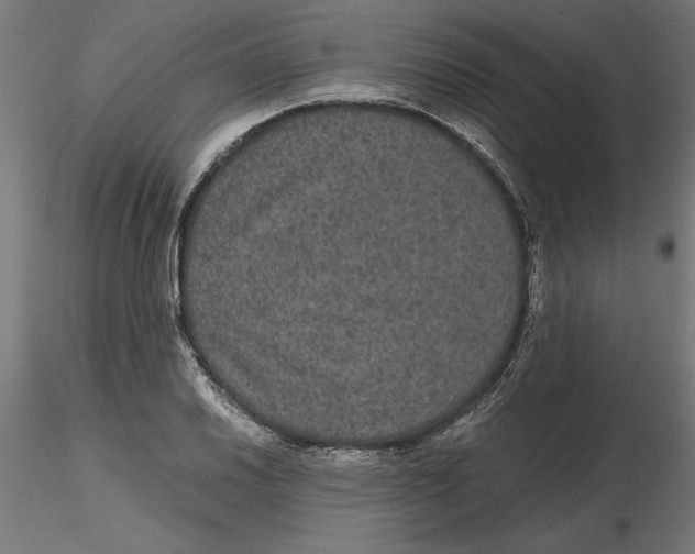 X0000116481030201001061116