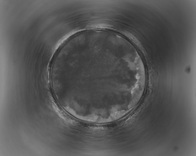 X0000116481031201001061116