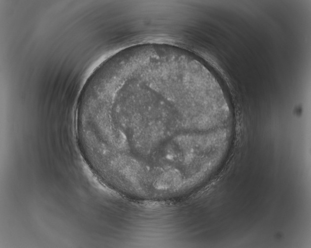 X0000116481032201001061116