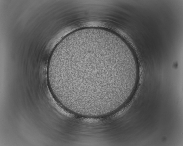 X0000116481033201001061116