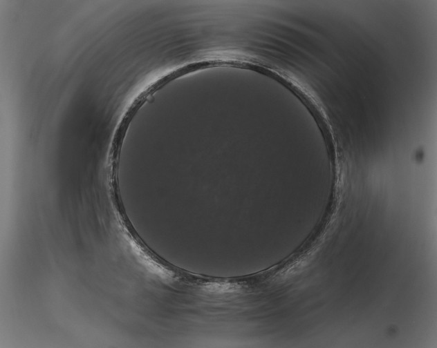 X0000116481037201001061116