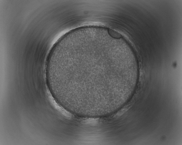 X0000116481038201001061116