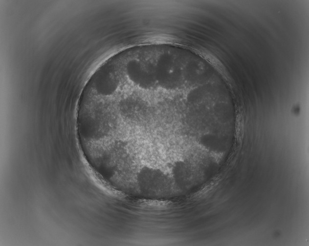 X0000116481039201001061116