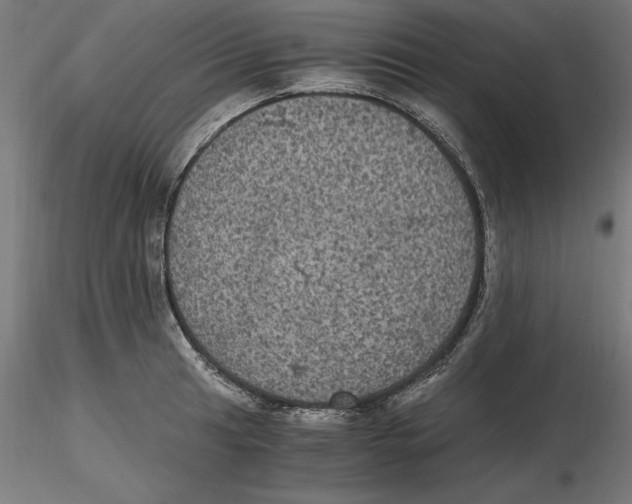 X0000116481041201001061116