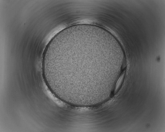 X0000116481042201001061116