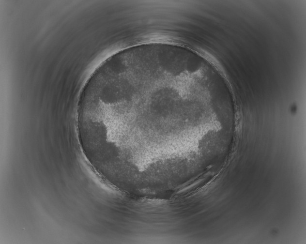 X0000116481043201001061116