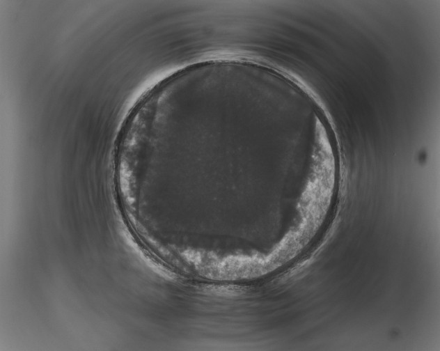 X0000116481045201001061116