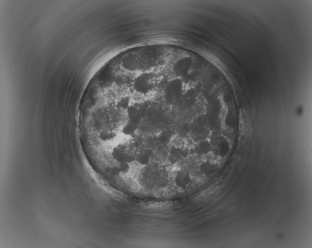 X0000116481047201001061116