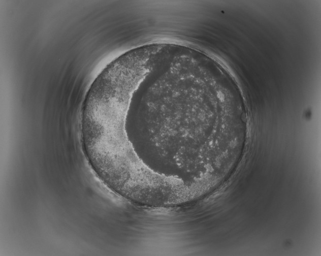 X0000116481048201001061116