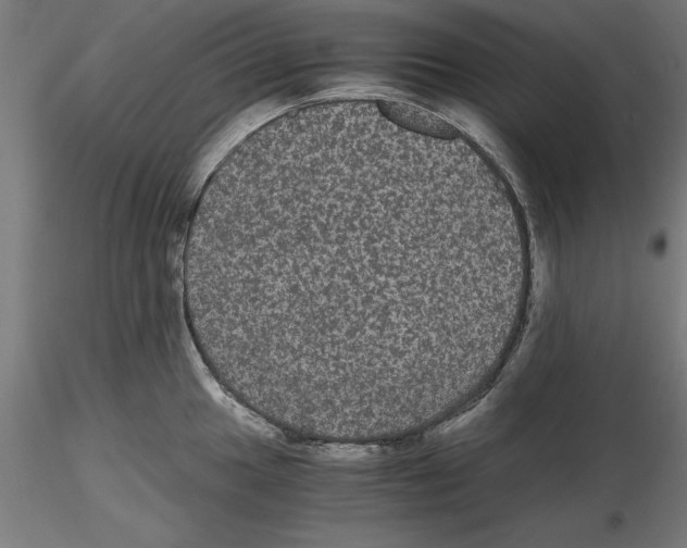 X0000116481049201001061116