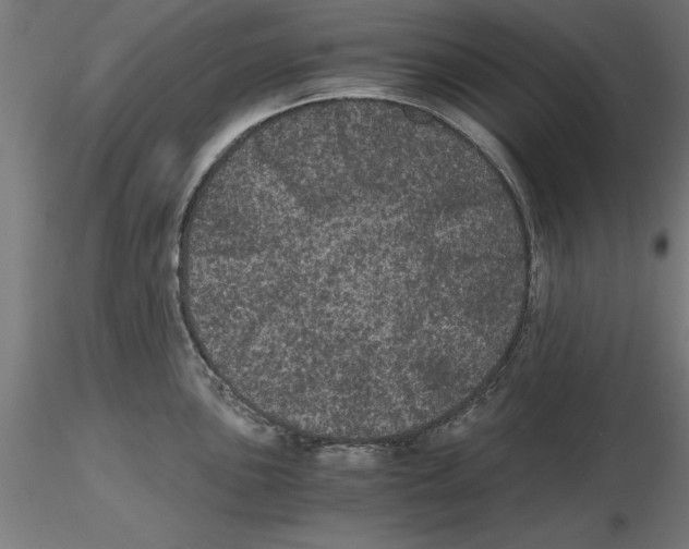 X0000116481051201001061116