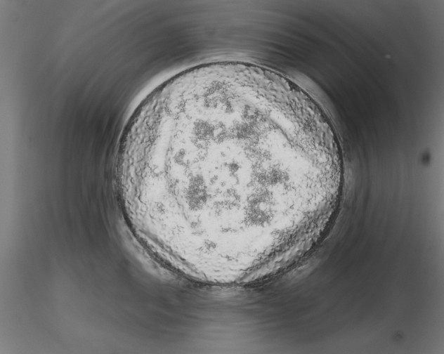 X0000116481052201001061116