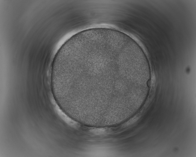 X0000116481054201001061116