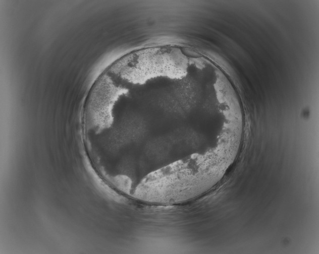 X0000116481055201001061116