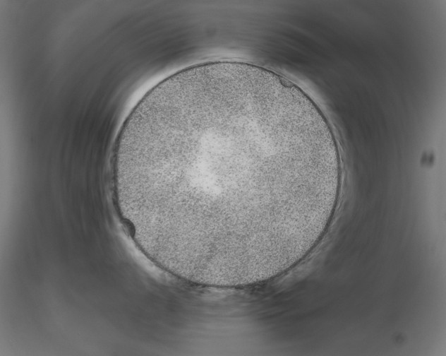 X0000116481056201001061116