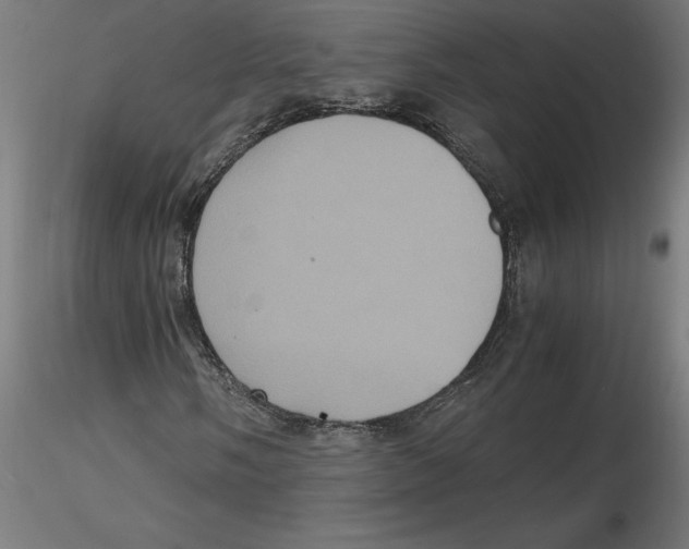 X0000116481058201001061115