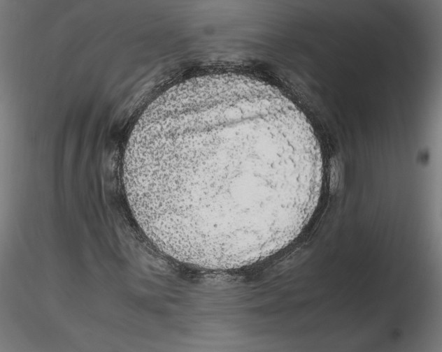 X0000116481059201001061115