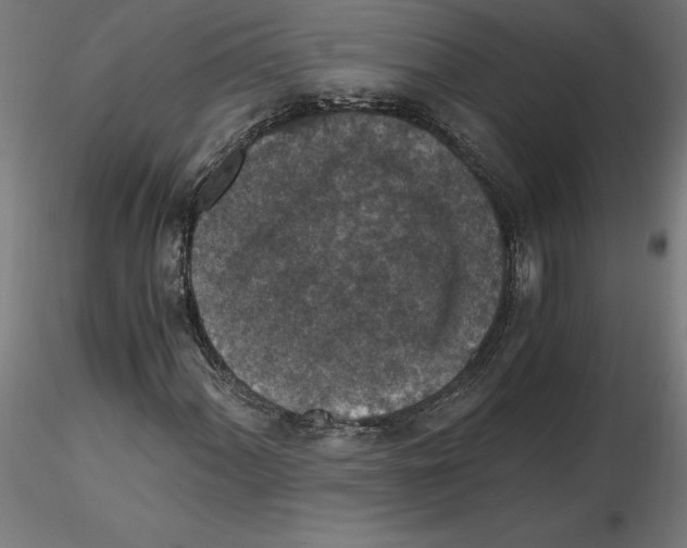 X0000116481060201001061115